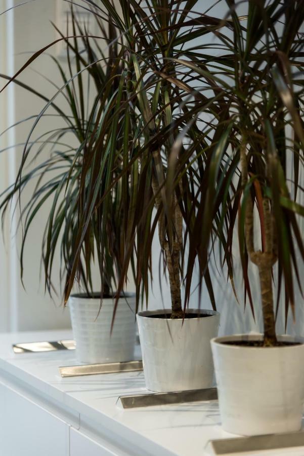 Central Cozy Studio With A Secret Garden Athen Exterior foto